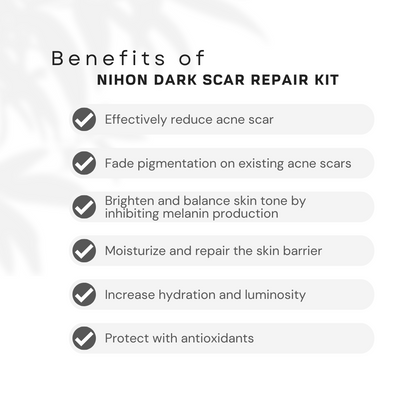 Dark Scar Repair Starter